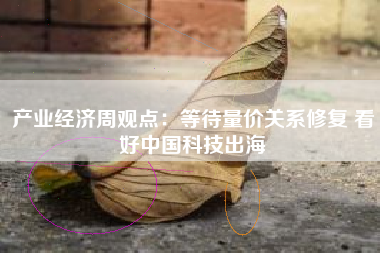 产业经济周观点：等待量价关系修复 看好中国科技出海