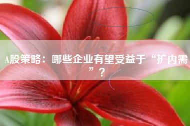 A股策略：哪些企业有望受益于“扩内需”？