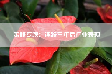 策略专题：连跌三年后行业表现