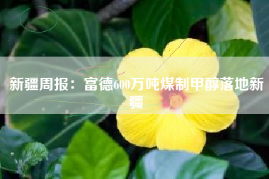 新疆周报：富德600万吨煤制甲醇落地新疆