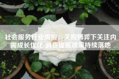 社会服务行业周报：关税博弈下关注内需成长优化 消费提振政策持续落地