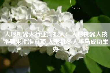 人形机器人行业周报人：人形机器人技术要求批准立项 人形机器人半马成功举办