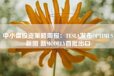 中小盘投资策略周报：TESLA发布OPTIMUS新图 新MODELY首批出口