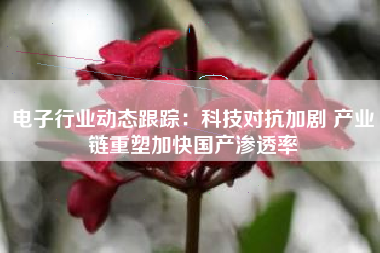 电子行业动态跟踪：科技对抗加剧 产业链重塑加快国产渗透率