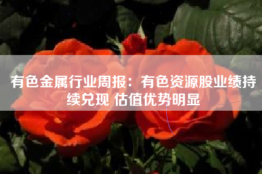 有色金属行业周报：有色资源股业绩持续兑现 估值优势明显