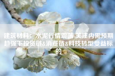 建筑材料：水泥行情震荡 关注内需预期趋强下投资链&消费链&科技转型受益标的