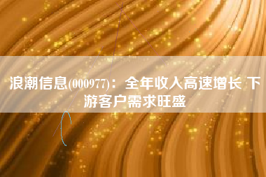 浪潮信息(000977)：全年收入高速增长 下游客户需求旺盛