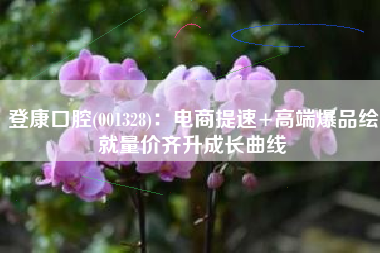 登康口腔(001328)：电商提速+高端爆品绘就量价齐升成长曲线