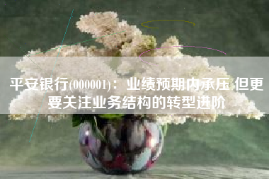 平安银行(000001)：业绩预期内承压 但更要关注业务结构的转型进阶