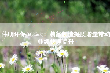 伟明环保(603568)：装备制造提质增量带动业绩快速提升