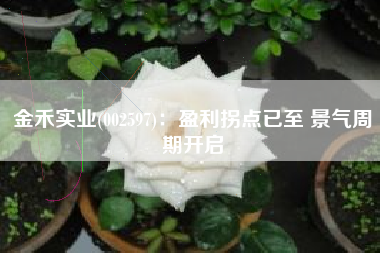 金禾实业(002597)：盈利拐点已至 景气周期开启