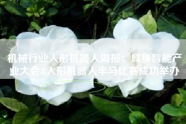 机械行业人形机器人周报：具身智能产业大会&人形机器人半马比赛成功举办