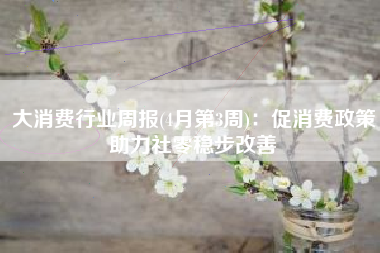 大消费行业周报(4月第3周)：促消费政策助力社零稳步改善