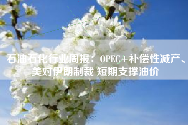 石油石化行业周报：OPEC+补偿性减产、美对伊朗制裁 短期支撑油价