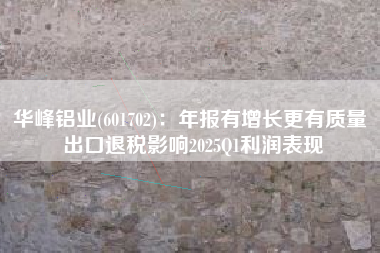 华峰铝业(601702)：年报有增长更有质量 出口退税影响2025Q1利润表现