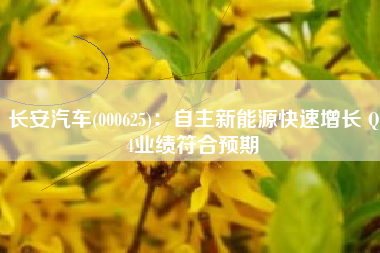 长安汽车(000625)：自主新能源快速增长 Q4业绩符合预期