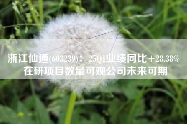 浙江仙通(603239)：25Q1业绩同比+28.38% 在研项目数量可观公司未来可期