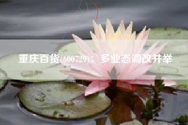 重庆百货(600729)：多业态调改并举