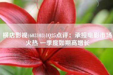 横店影视(603103)1Q25点评：承接电影市场火热 一季度如期高增长