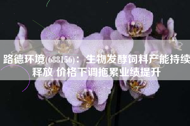 路德环境(688156)：生物发酵饲料产能持续释放 价格下调拖累业绩提升