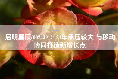 启明星辰(002439)：24年承压较大 与移动协同打造新增长点