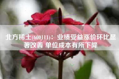北方稀土(600111)：业绩受益涨价环比显著改善 单位成本有所下降