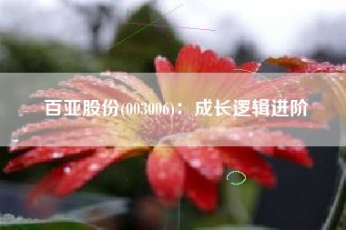 百亚股份(003006)：成长逻辑进阶