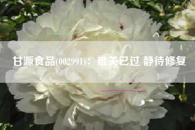 甘源食品(002991)：难关已过 静待修复