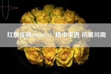 红旗连锁(002697)：稳中求进 拓展川南