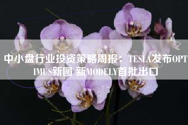 中小盘行业投资策略周报：TESLA发布OPTIMUS新图 新MODELY首批出口