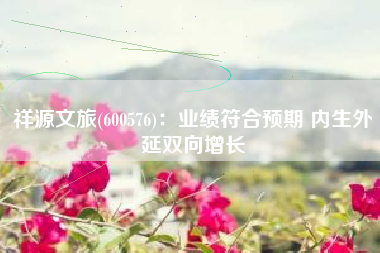 祥源文旅(600576)：业绩符合预期 内生外延双向增长