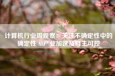 计算机行业周观察：关注不确定性中的确定性 AI产业加速及自主可控
