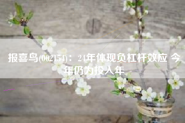 报喜鸟(002154)：24年体现负杠杆效应 今年仍为投入年