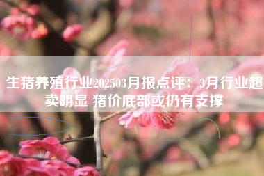 生猪养殖行业202503月报点评：3月行业超卖明显 猪价底部或仍有支撑