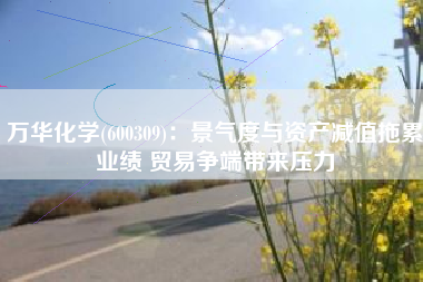 万华化学(600309)：景气度与资产减值拖累业绩 贸易争端带来压力