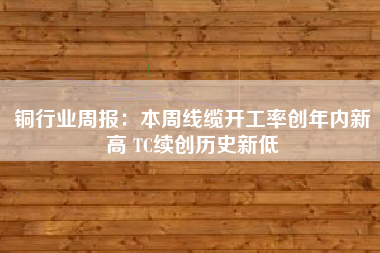 铜行业周报：本周线缆开工率创年内新高 TC续创历史新低