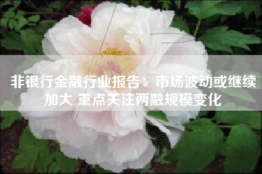 非银行金融行业报告：市场波动或继续加大 重点关注两融规模变化