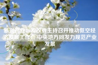 新兴产业：发改委主持召开推动低空经济发展工作会 中央地方同发力规范产业发展
