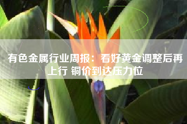 有色金属行业周报：看好黄金调整后再上行 铜价到达压力位