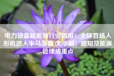 电力设备新能源行业周报：全球首场人形机器人半马落幕 大小脑、感知及能源管理成重点