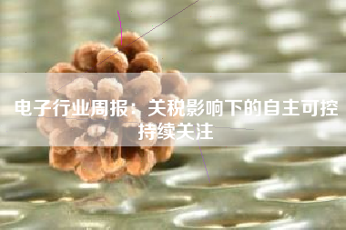 电子行业周报：关税影响下的自主可控持续关注