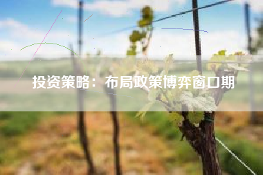 投资策略：布局政策博弈窗口期