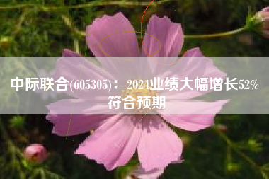 中际联合(605305)：2024业绩大幅增长52% 符合预期