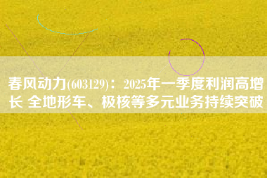 春风动力(603129)：2025年一季度利润高增长 全地形车、极核等多元业务持续突破