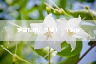 定量观市：等待下一个路标