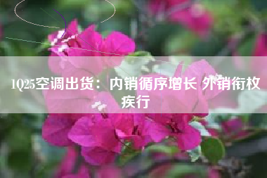 1Q25空调出货：内销循序增长 外销衔枚疾行
