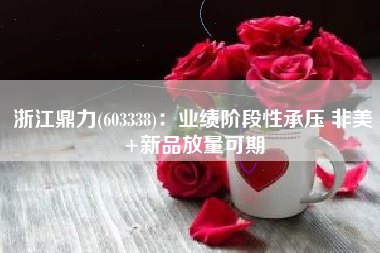 浙江鼎力(603338)：业绩阶段性承压 非美+新品放量可期