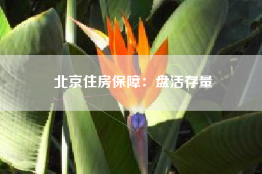 北京住房保障：盘活存量
