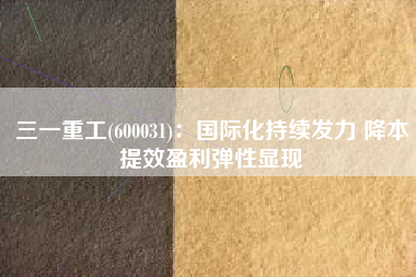 三一重工(600031)：国际化持续发力 降本提效盈利弹性显现