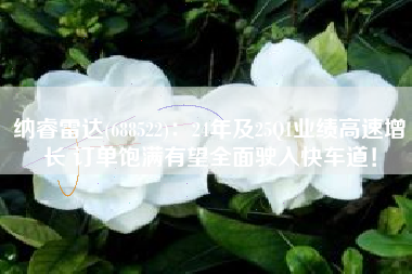 纳睿雷达(688522)：24年及25Q1业绩高速增长 订单饱满有望全面驶入快车道！